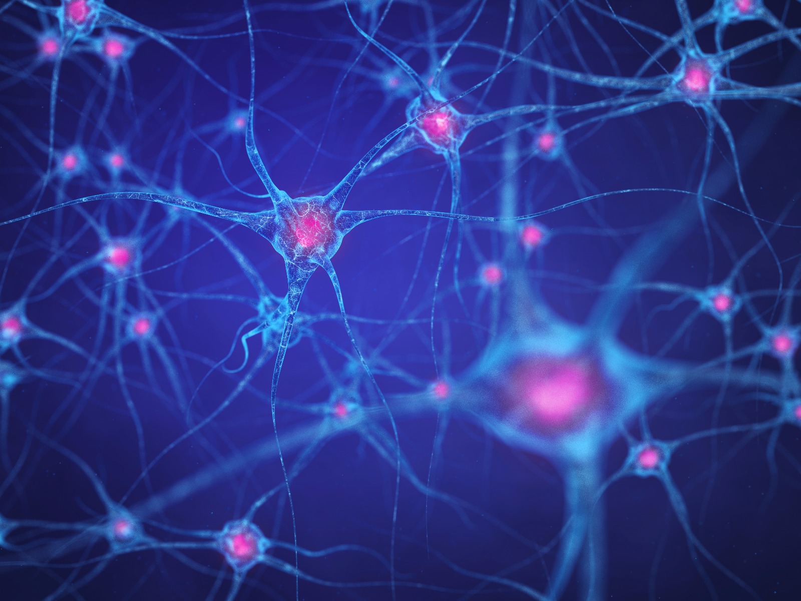 overproduction of neurons in development of brain overproduction of neurons in development of brain